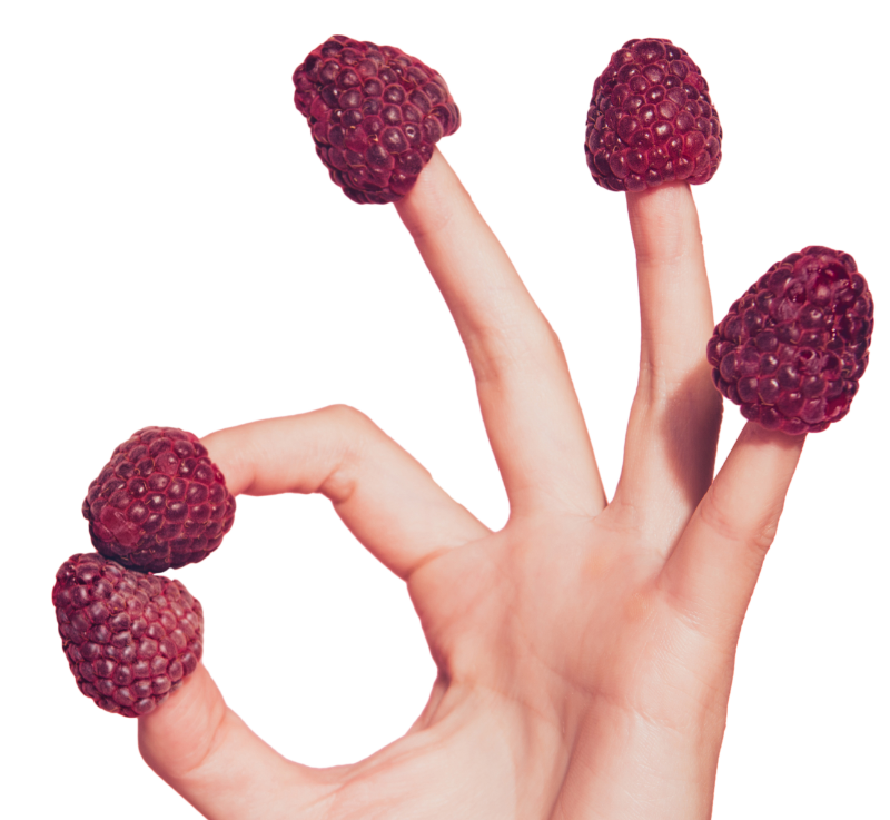 Agenzia a servizio completo con estro