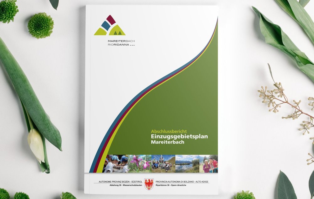 Stampa e multimedia.