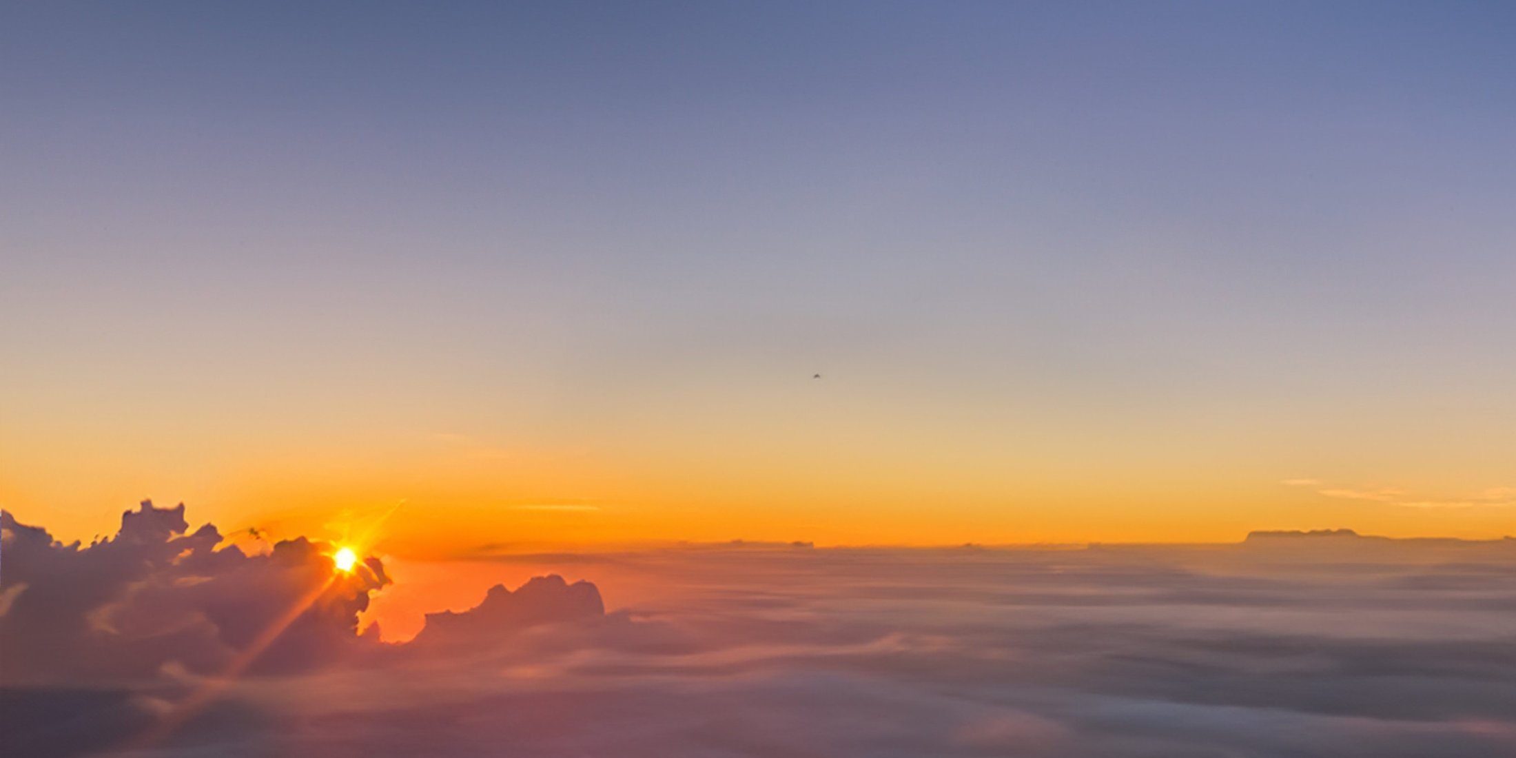 Dove passione e creatività si fondono. 