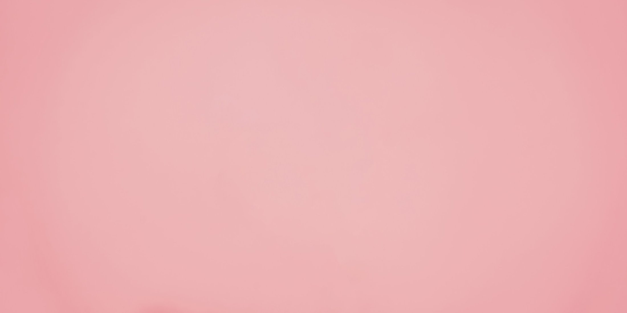 Agenzia a servizio completo con estro