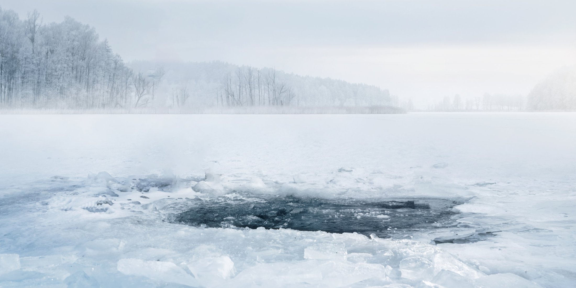 Agenzia a servizio completo con profondità.